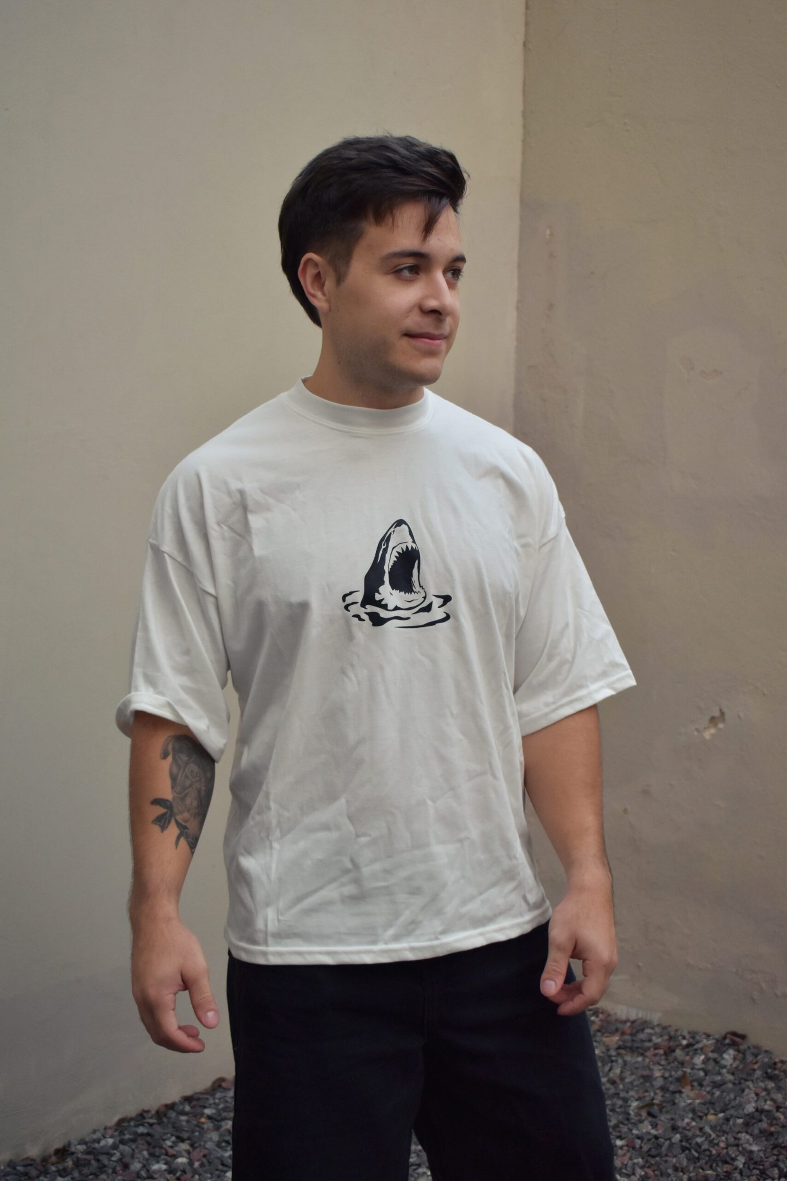 COMBI COMPLETA - Imagen 7